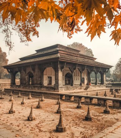 pexels-sam-clickx-24038849-19267288