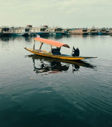 pexels-saqib-rafiq-najar-2152565521-35348337